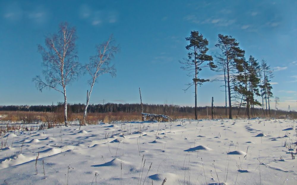 Зимние зарисовки..