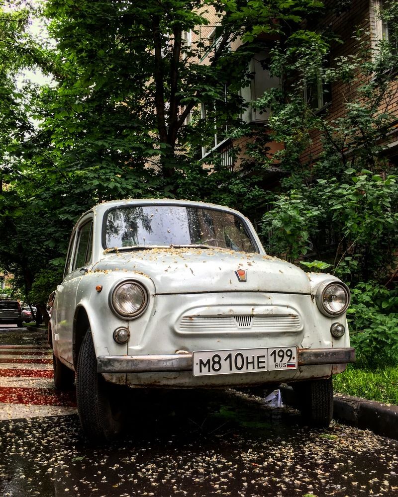 Усыпанный цветами