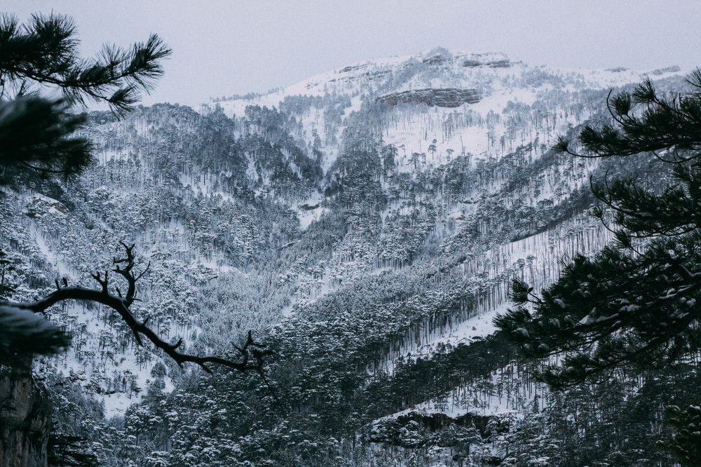 Photograph by Olesya Serebryantseva