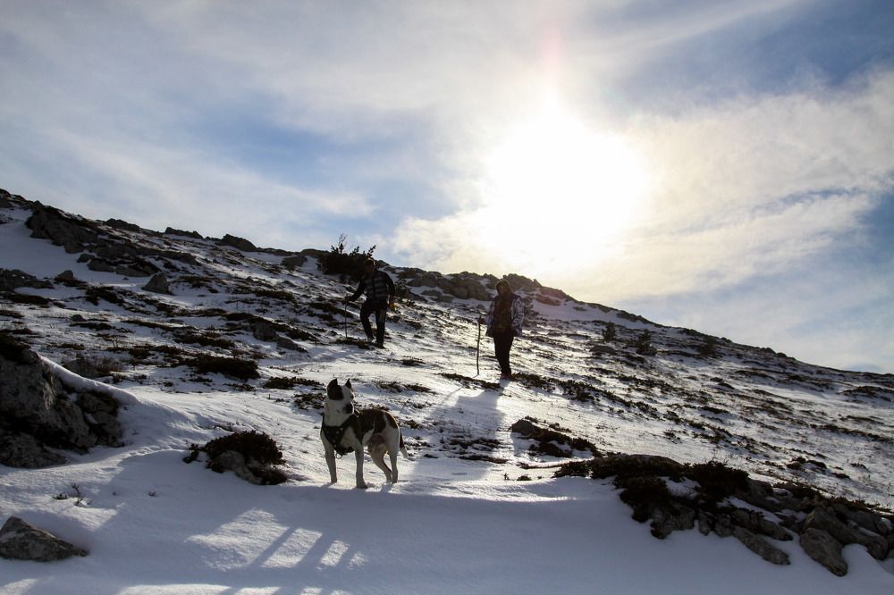 Photograph by Olesya Serebryantseva