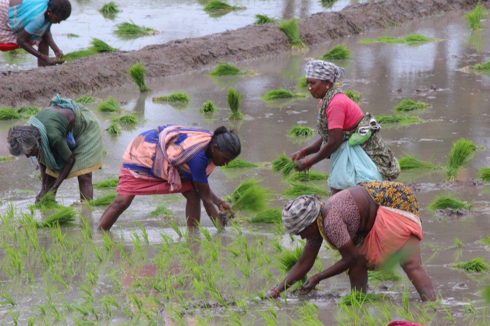 Tamil nadu former women's