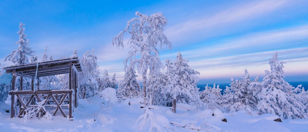 Photograph by Andrey Chuntomov