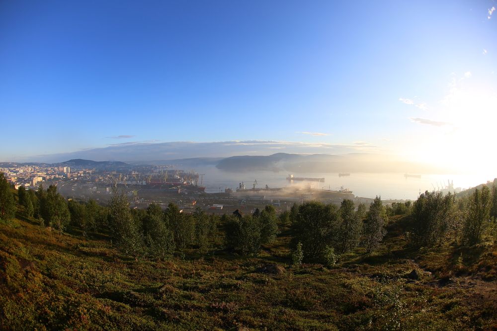 Суета морская