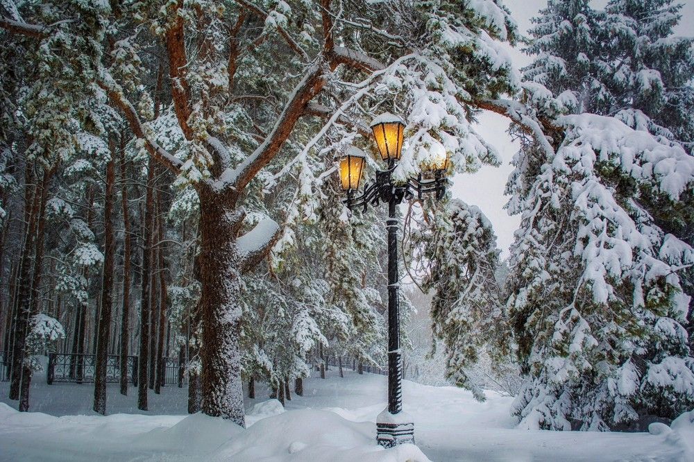 Снежные объятия.