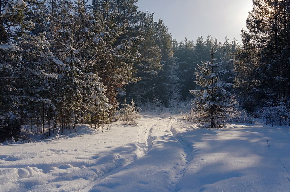Январьское солнце.
