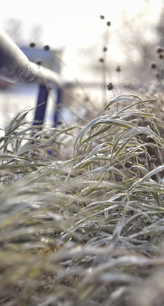 Однажды зимой