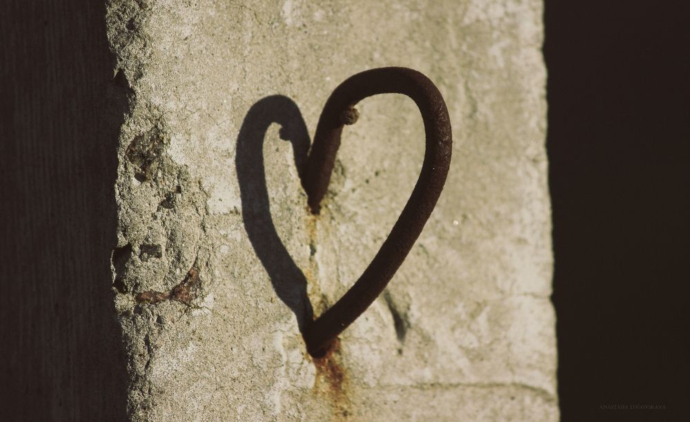 Photograph by Луговская Анастасия