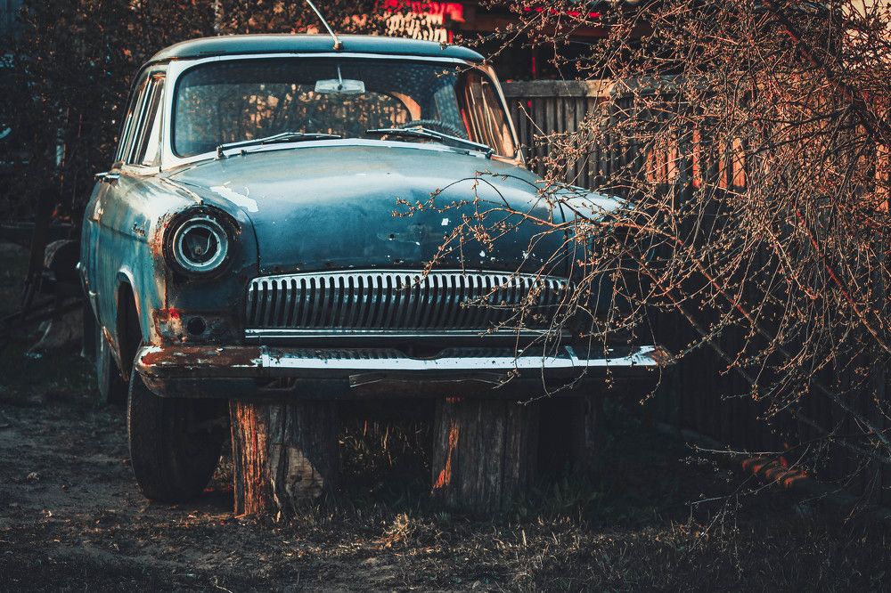 Photograph by Луговская Анастасия