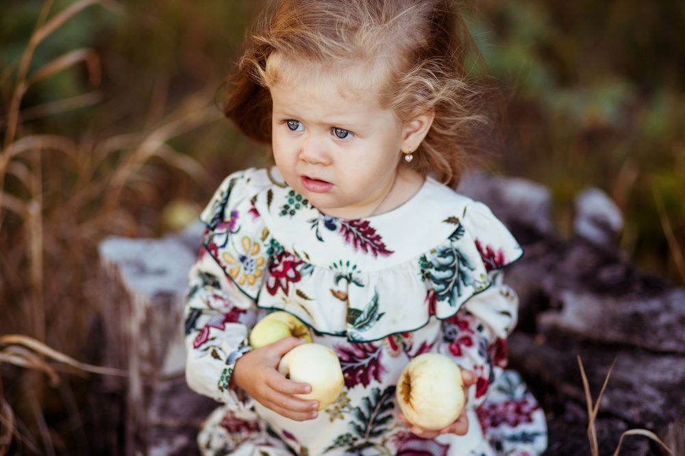 Яблочки из бабушкиного сада