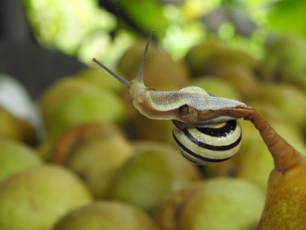 Photograph by Олександр Максимюк