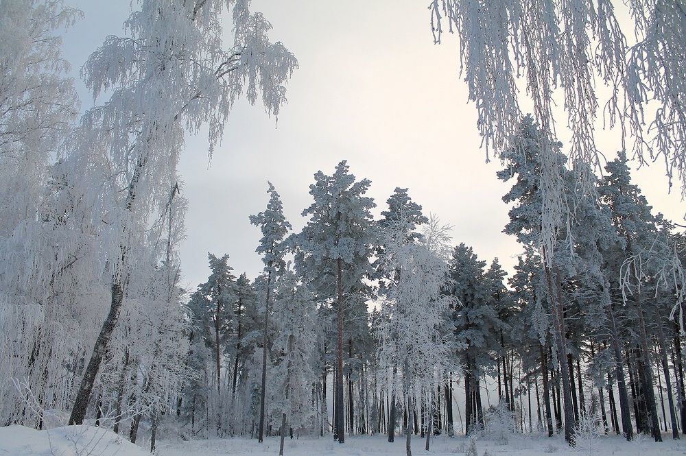 Photograph by Надежда Рахманова
