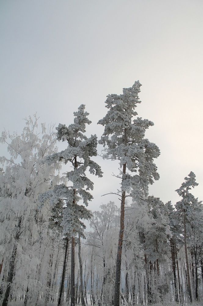 Photograph by Надежда Рахманова
