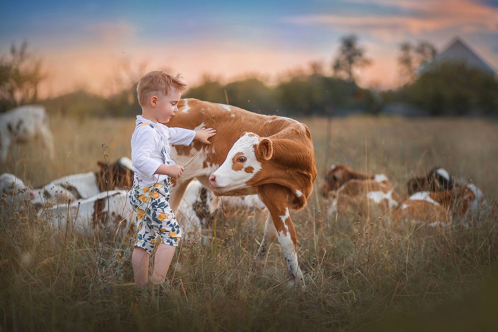 Фотография автора Анастасия Ванити