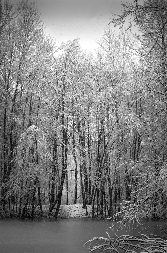 Photograph by Александр Орнатский