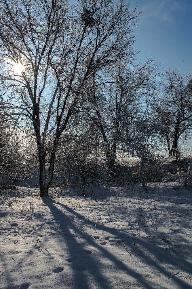 Есть у всех на свете тень