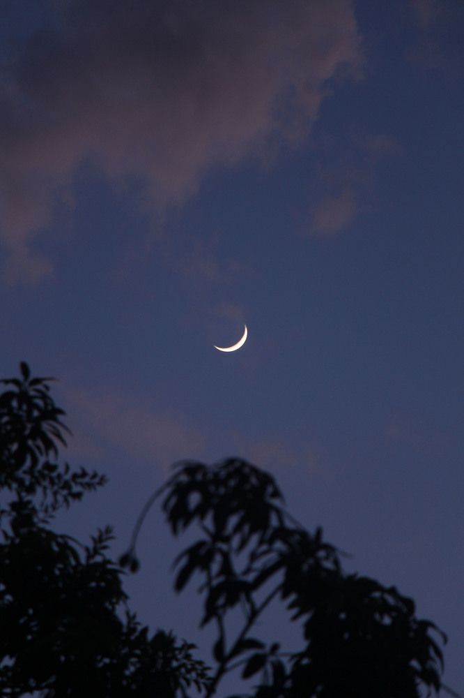 Photograph by carlos junior vicente sullon