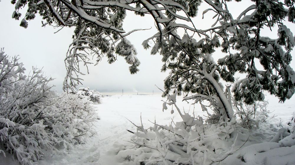 Крымская зима.