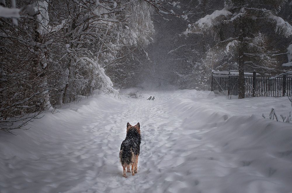 Photograph by Людмила Потапова