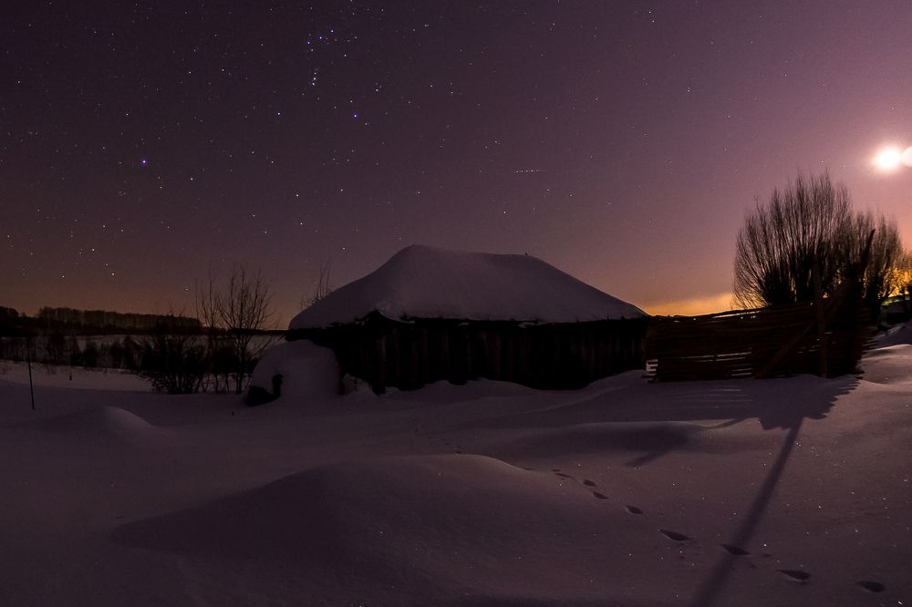 Photograph by Городничева Елена