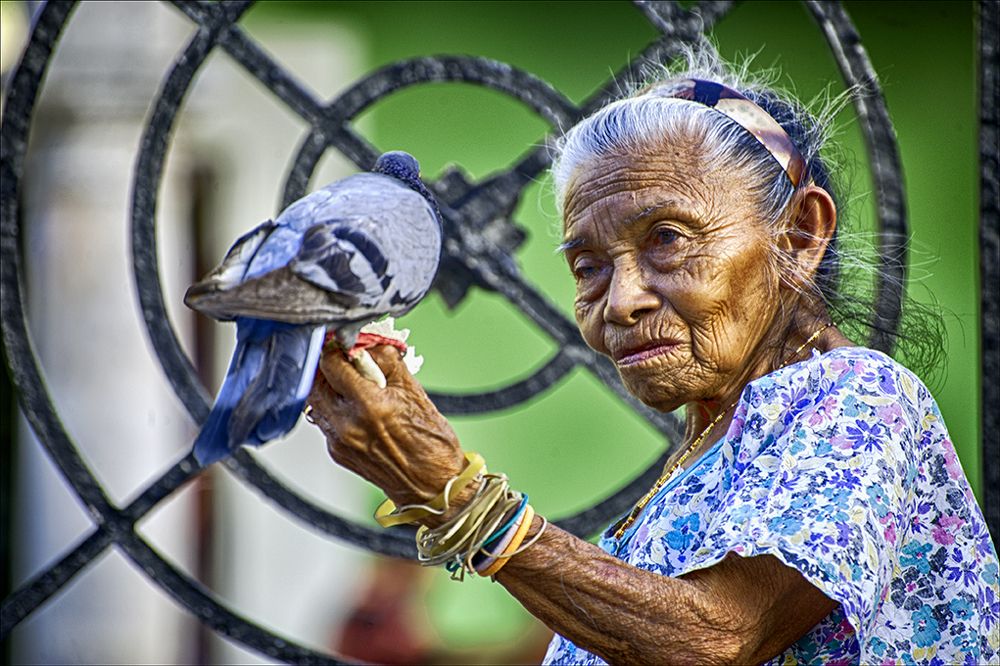 Socorrito,, la reina de las palomas.