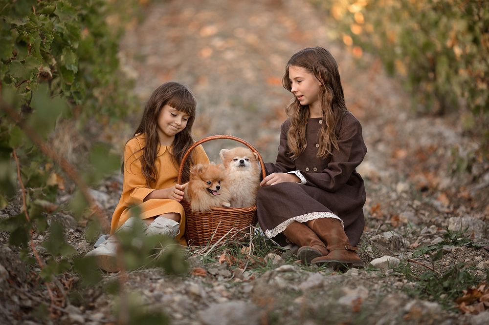 Пушистое счастье