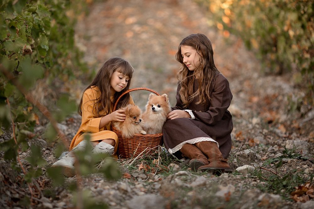 Пушистое счастье