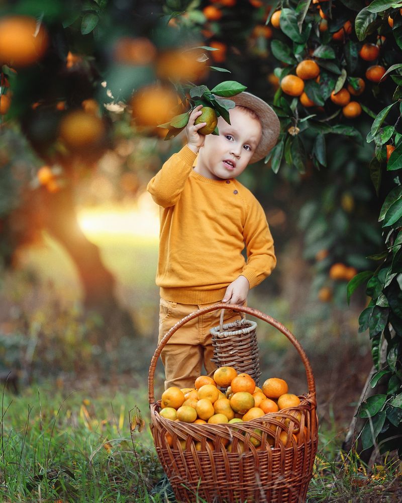 мандариновый рай