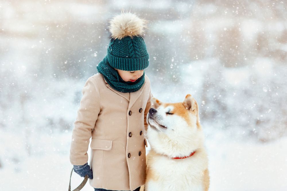 Фотография автора Тимакова Татьяна