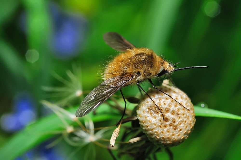 Photograph by Виталий Маслов