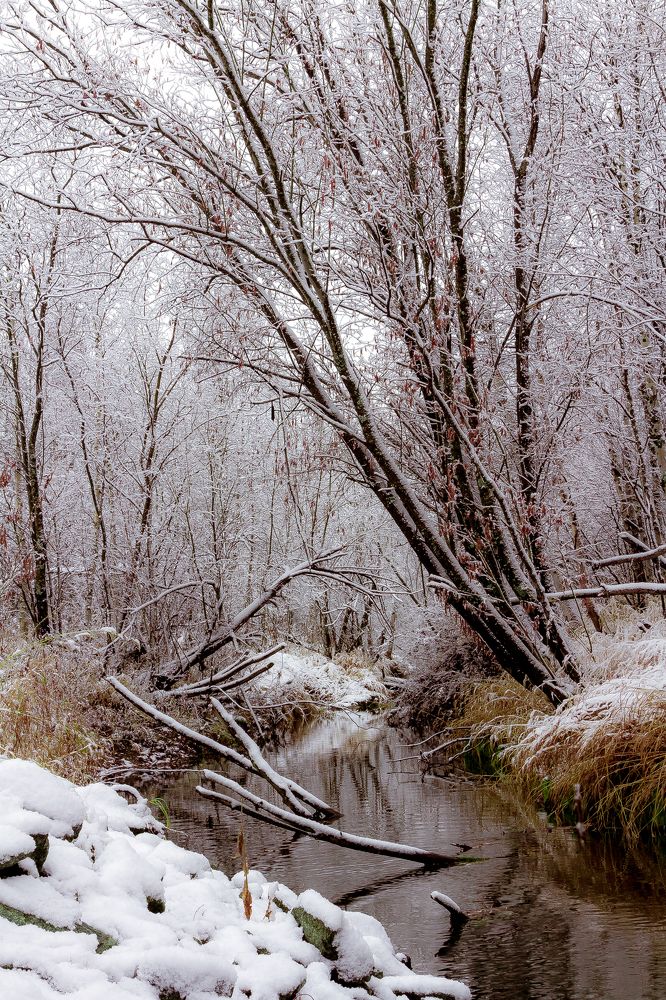 Первый снег