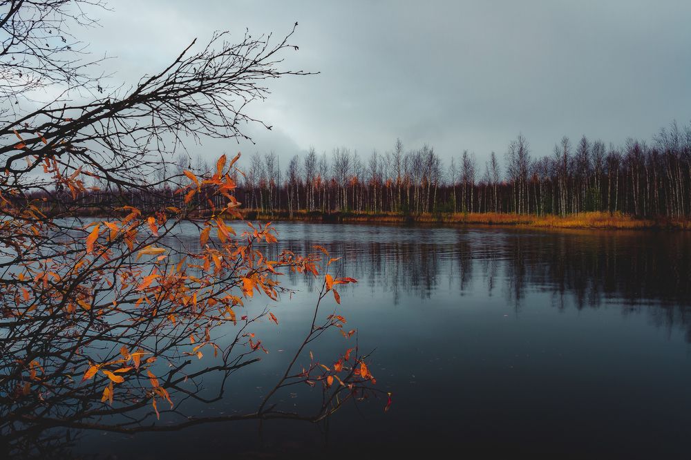 Пасмурное утро