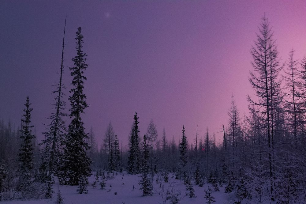 Свет в ночи