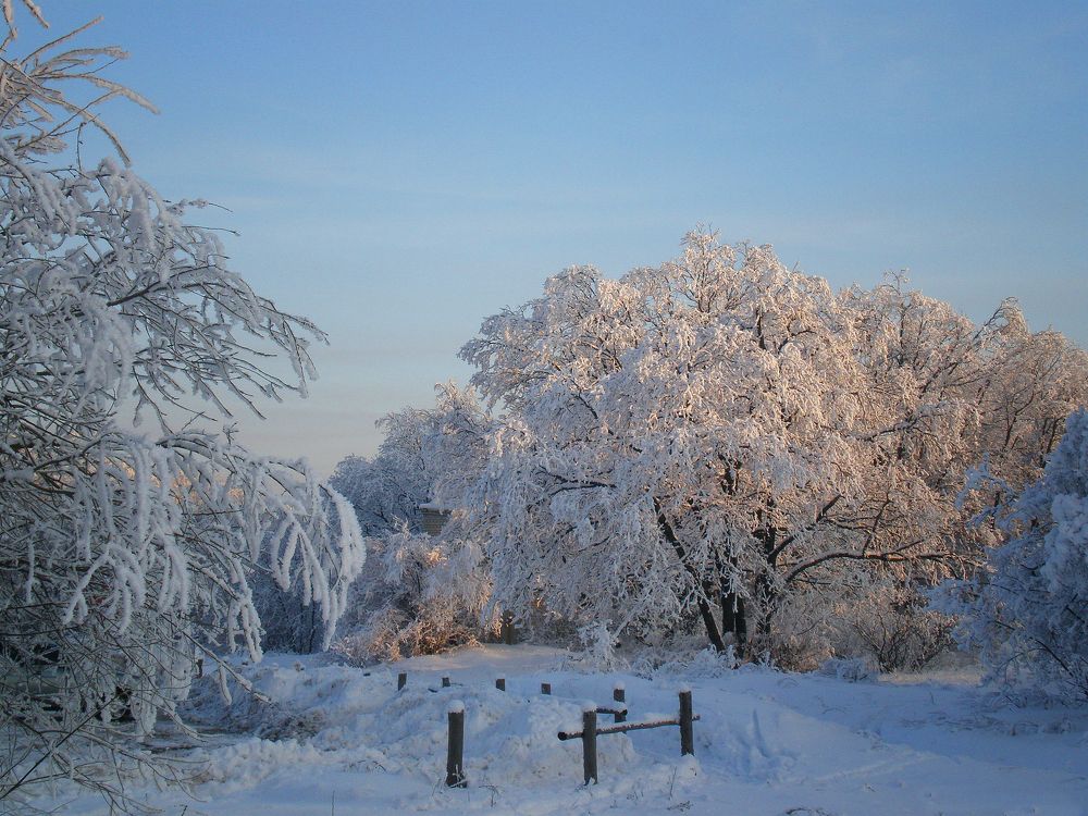 Зимняя рапсодия.