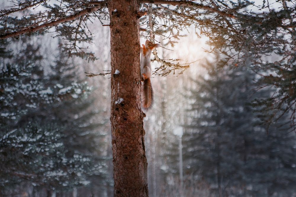 на пути к цели