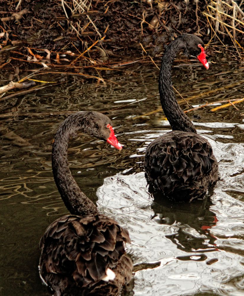 Photograph by Сергей Мордань