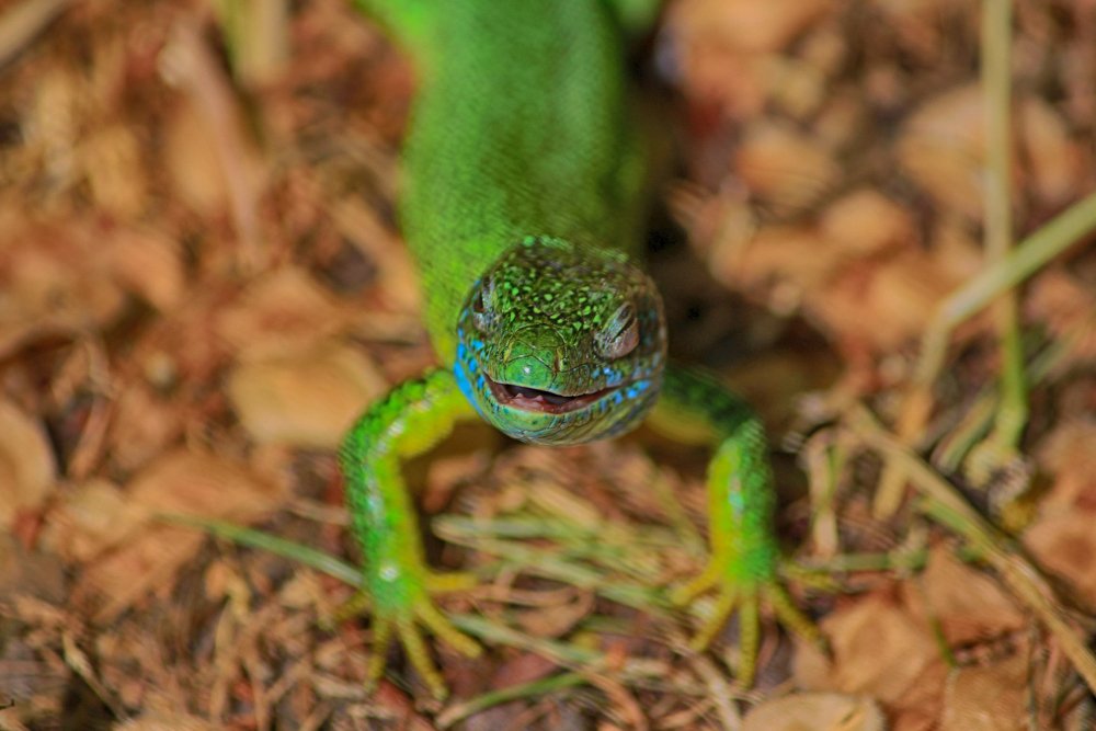 Photograph by Сергей Мордань