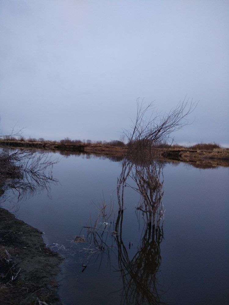 Photograph by Оксана Зяблова