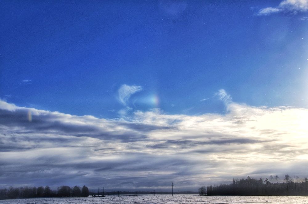 Photograph by Rasa Žičė