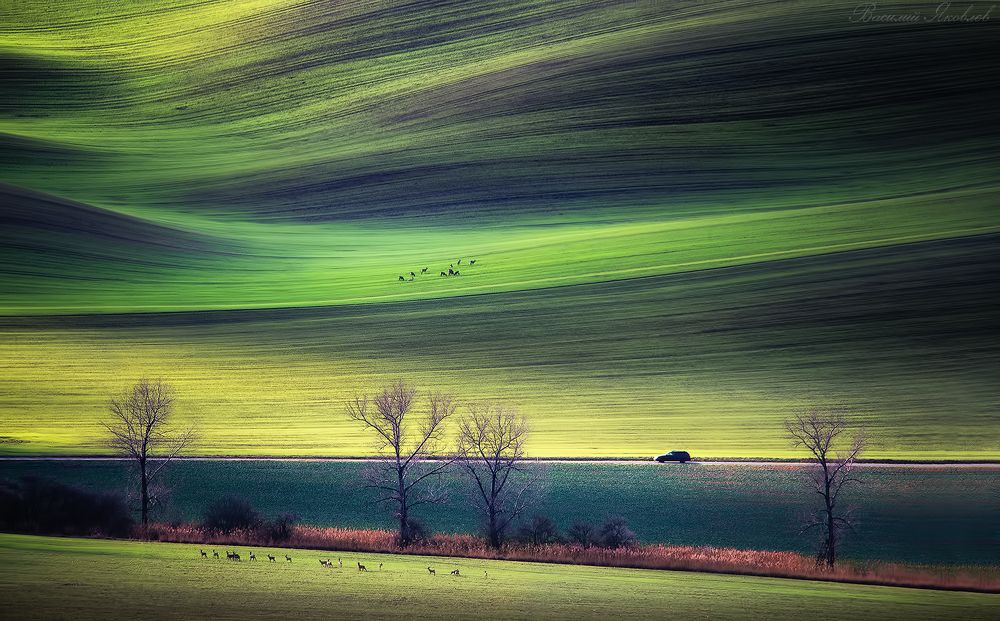 Последний день 2018 года