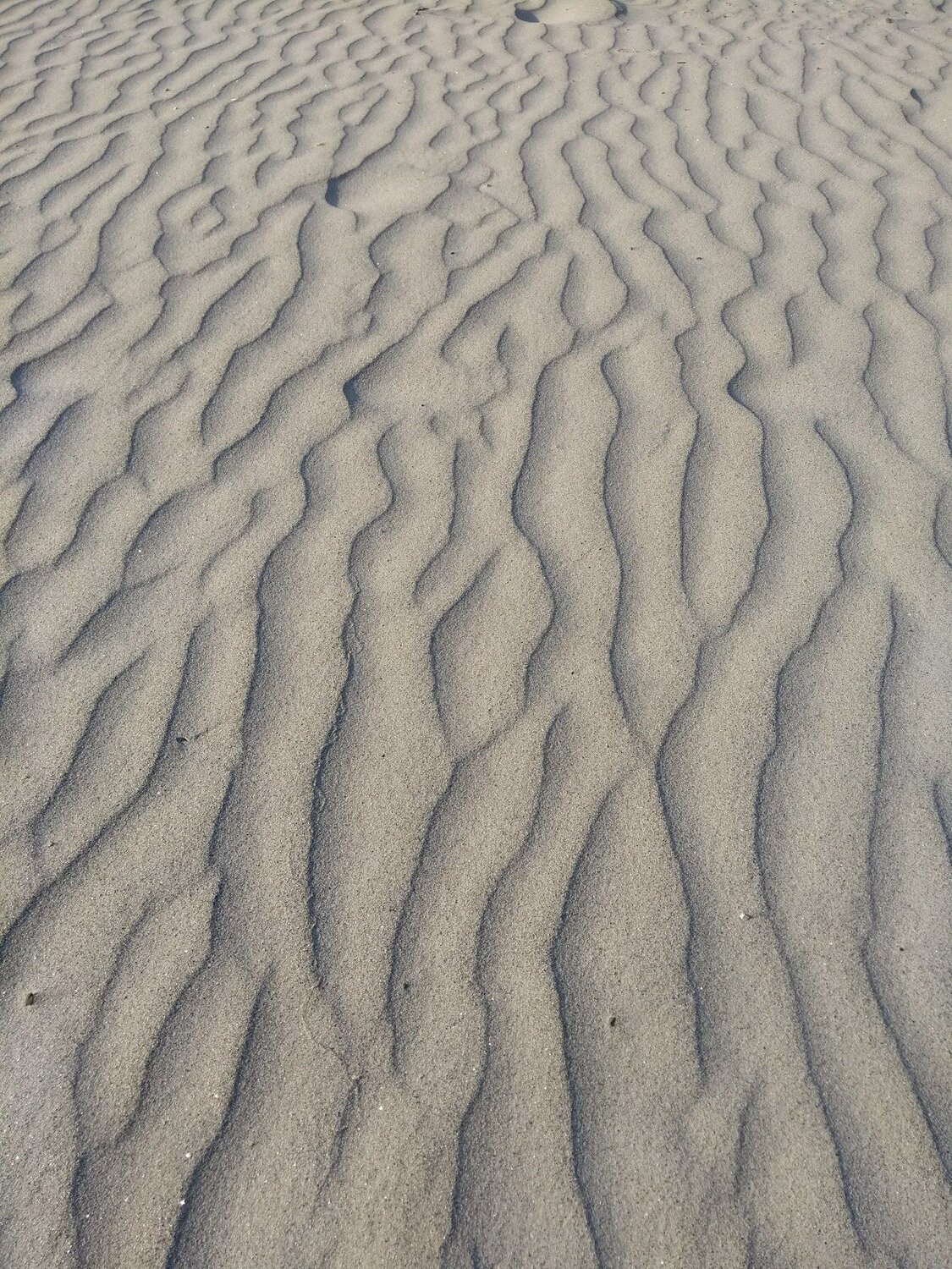 White waves