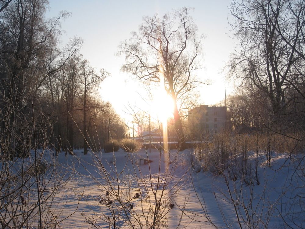 Photo #2877253