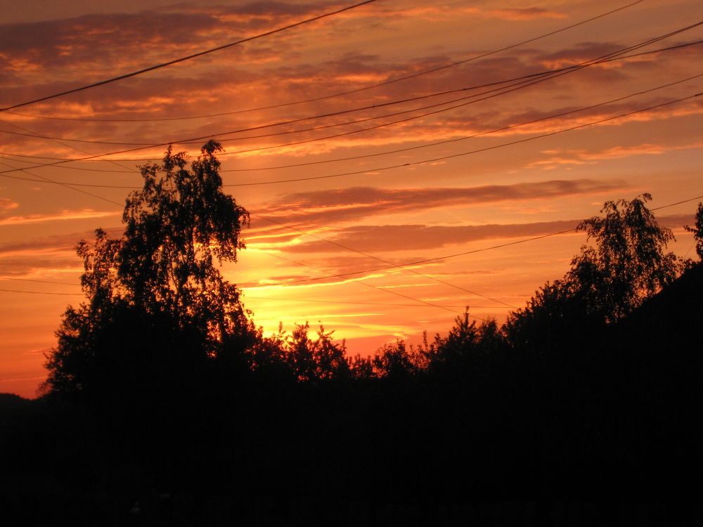 Photo #2877258