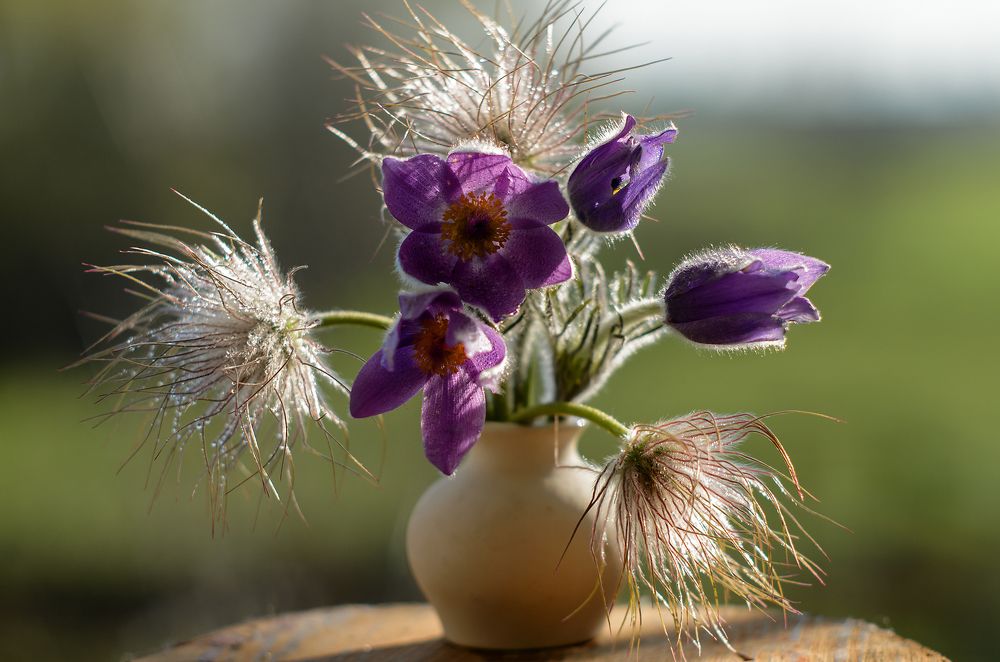 Photograph by Елена Вапняр