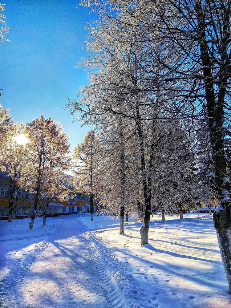 Зимнее кружево