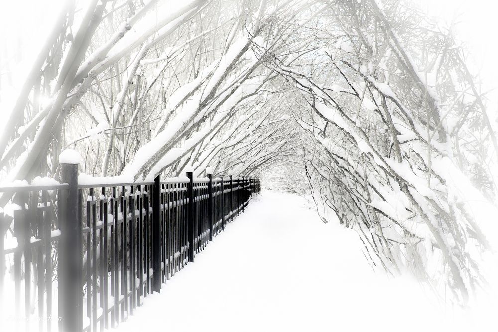 Зимняя история