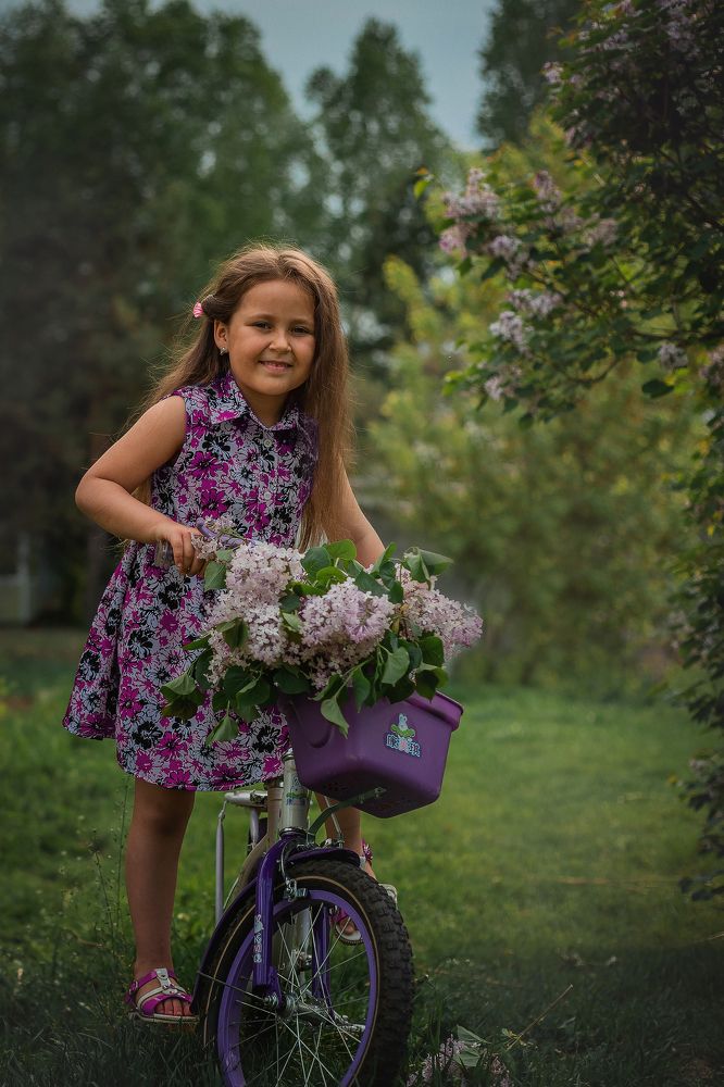 Запах сирени