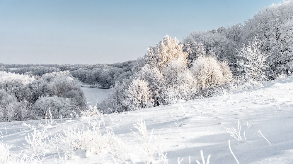 Ливны. Шатилова роща на реке Быстрая Сосна.