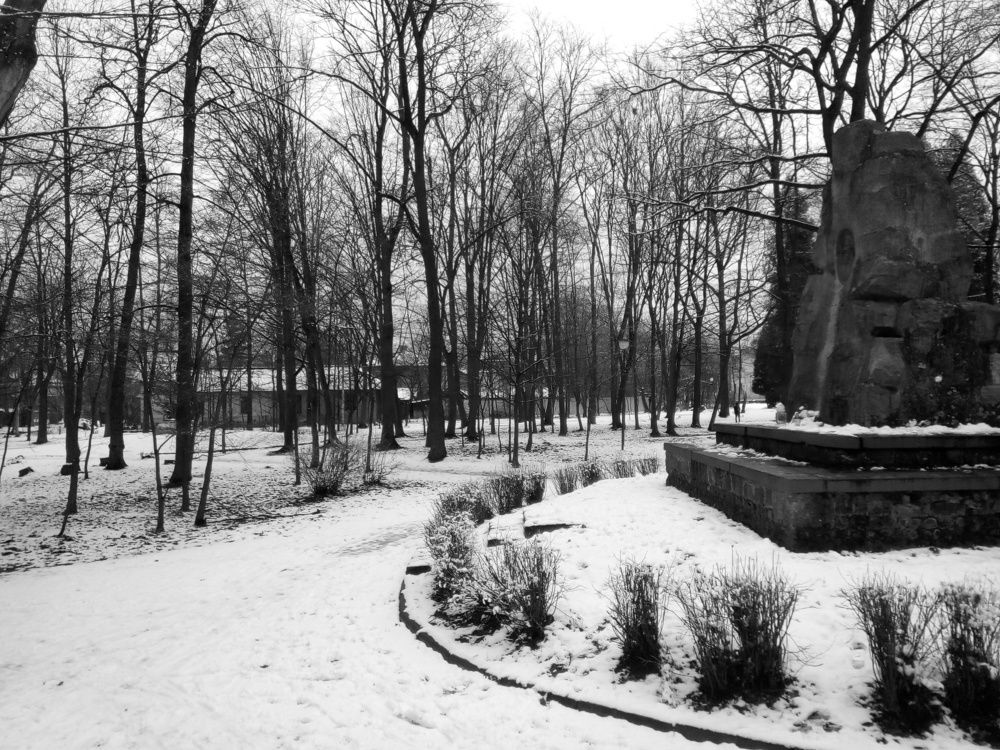 Зимова краса