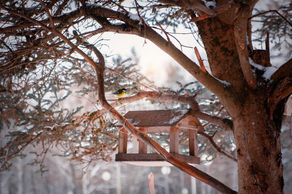 Photograph by Анастасия Корбут