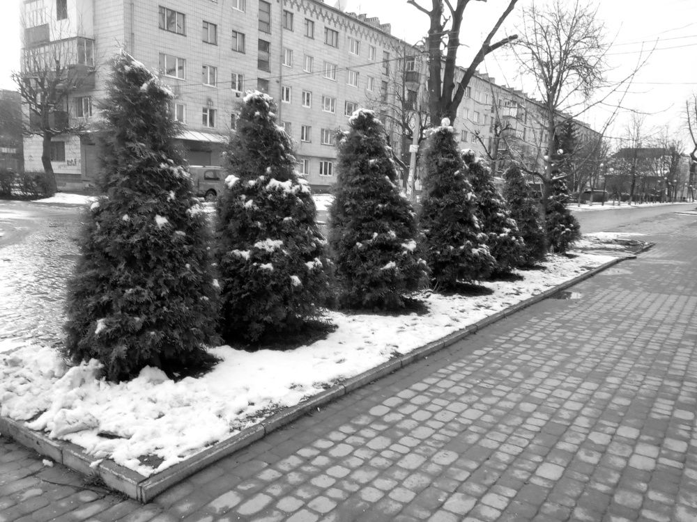 Прийшла зима